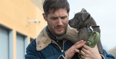 It's a dog's life...