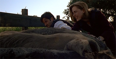 Their home is a sty...