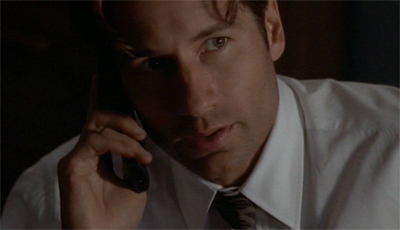 Putting it all on the line...