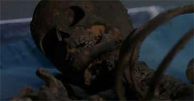 No bones about it...