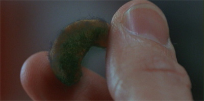 The green, green murderous fungus of home...