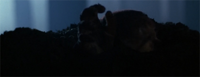 The truth remains buried...