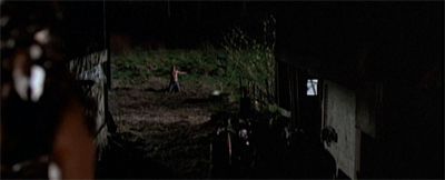 A walk on the wild side...