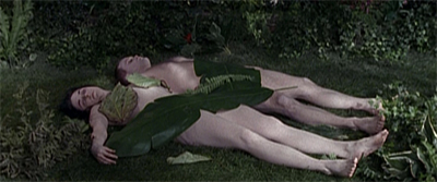 I don't Adam and Eve it...