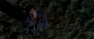 Looking up and wondering...