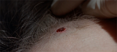 Scully needs this like she needs a hole in the head...