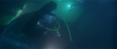 This recovery is going swimmingly...