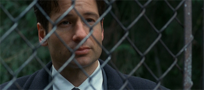 Feeling fenced in...