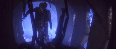 The Seleya was beginning to feel a little lived-in...