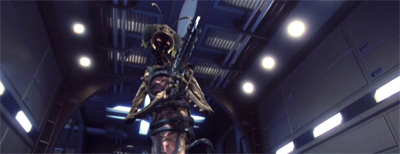 Do you reckon they have a hive mind?