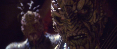 Councilling against caution...