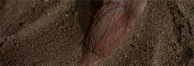 Going around in circles...