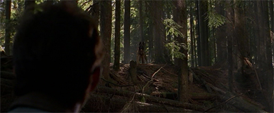 If you go down to the woods today...