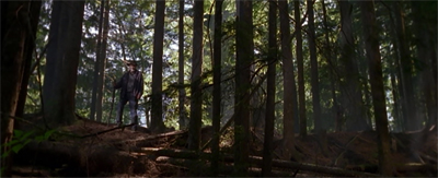 The Old Man of the forest...