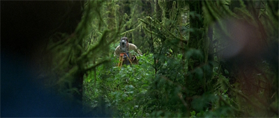 The great green yonder...