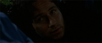 "Next time, let's do a city break..."