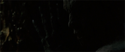 Barking up the wrong tree.