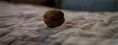 Up against the wal(nut)...