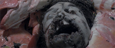 Face-to-face with nature...