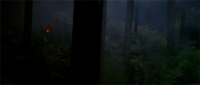 All good in the woods...