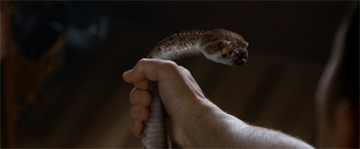 Snakes in the open...