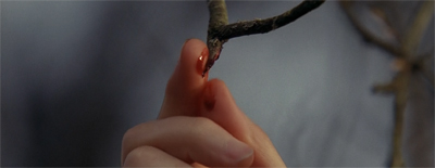 The lifeblood of the community...