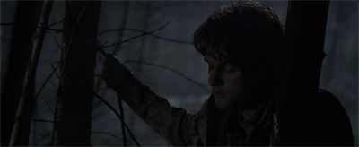 If you go down to the woods today...