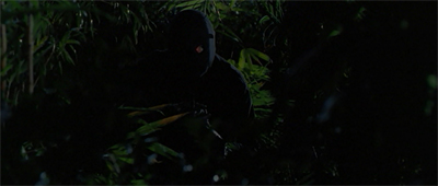 It's a jungle out there...