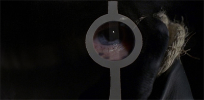 Seeing eye to eye...