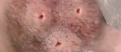 Talk about a job that sucks...