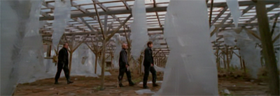 "Well, somebody watched Lethal Weapon II."