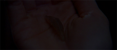 They're going to nail this guy...