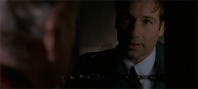 What do you call a baby Fox?