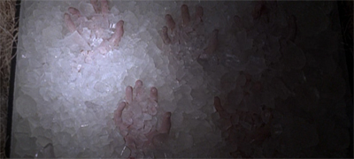 A chilling discovery...