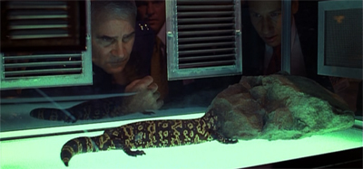 Rock lizard? Doo doo, doo doo, do do do do do do do...