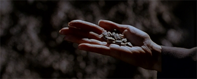 The seeds of something greater...