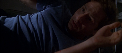 Bovine homicide is more common than you'd think...