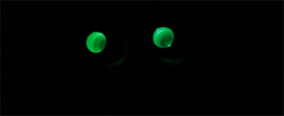 "I'm just putting up shelves. In the dark."