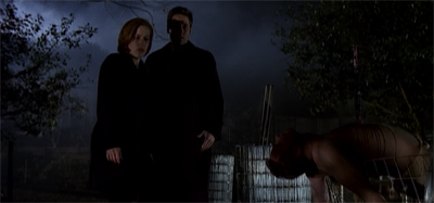 "Well, it was certainly considerate of him to wear pants..."