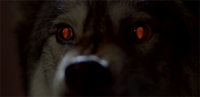 His bark is worse than... Actually, maybe not.