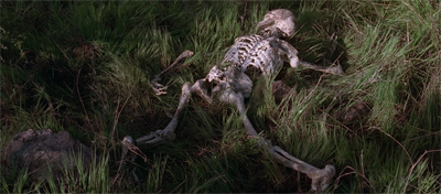 "Well, David Duchovny was suggesting he wanted to be written out of the show..."