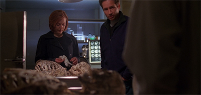 Unearthing secrets...