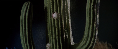 A prckley piece of history...