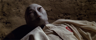 "Well, grey is kinda white... right?"