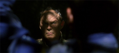 We could be (pri)mates...