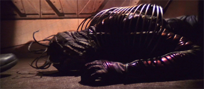 Cold-blooded execution...