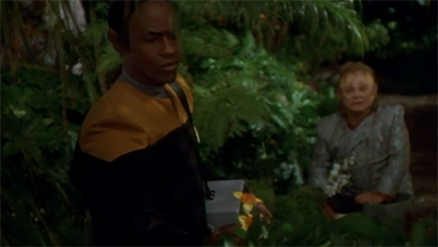 Planting seeds and watching them grow...