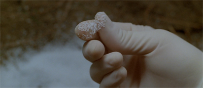 Salt of the earth...