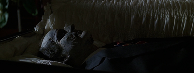 Dead to the world...