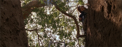 Unearthing secrets...